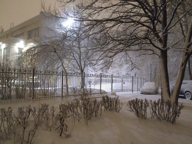 Петербург. Весна. Ничего необычного