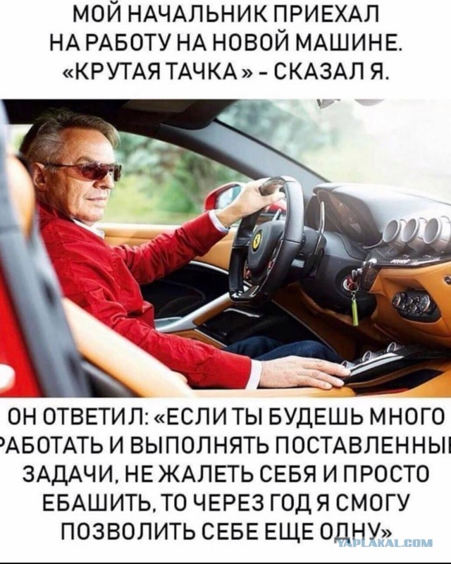 Дорогие борцы с режимом, старайтесь больше времени уделять учебе и работе.