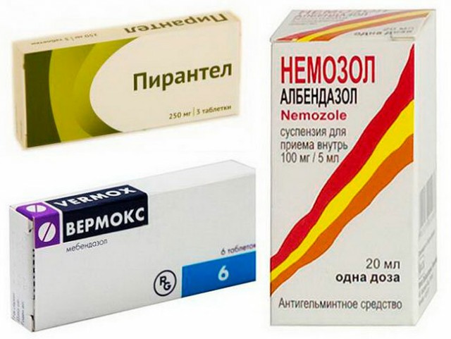 Ввести обязательный учет, регистрацию и проведение обязательных ветеринарных осмотров домашних животных