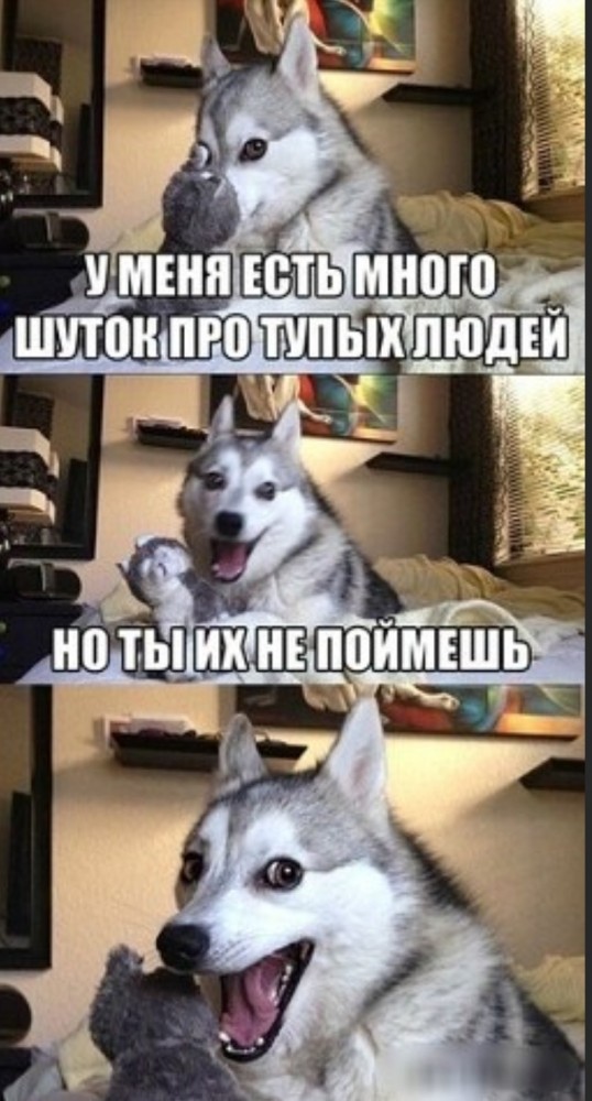 Бредзона 05.06.2020