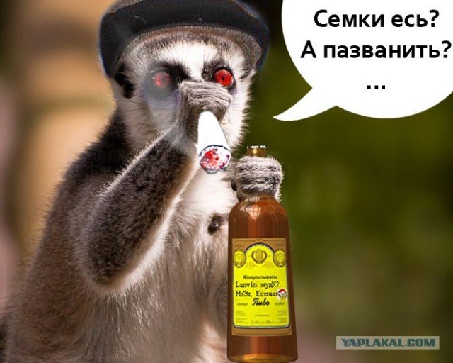 Сижу вот,отдыхаю