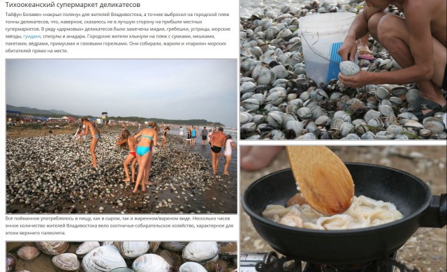 Лицемерный хайп на катастрофе