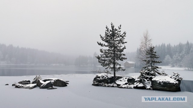 Снежные чудеса, которые редко увидишь