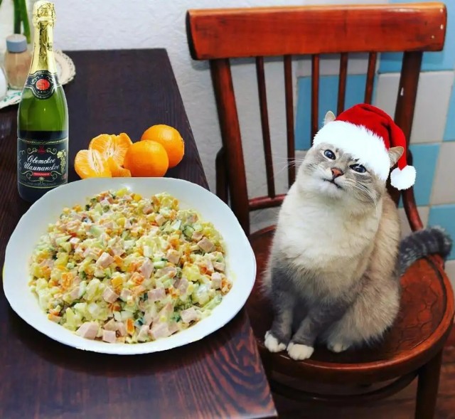 Девчонки готовятся к Новому Году!