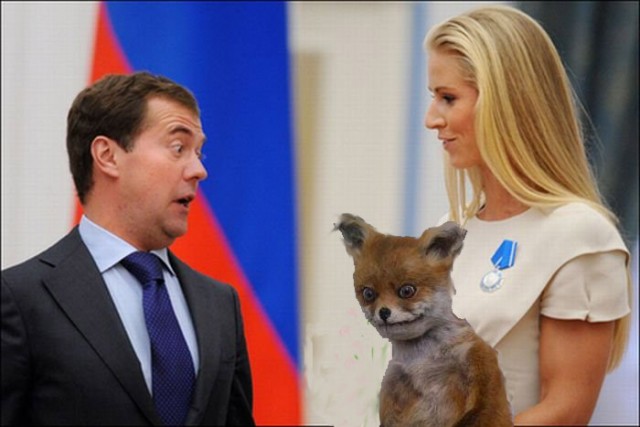 Таксидермия + наркомания