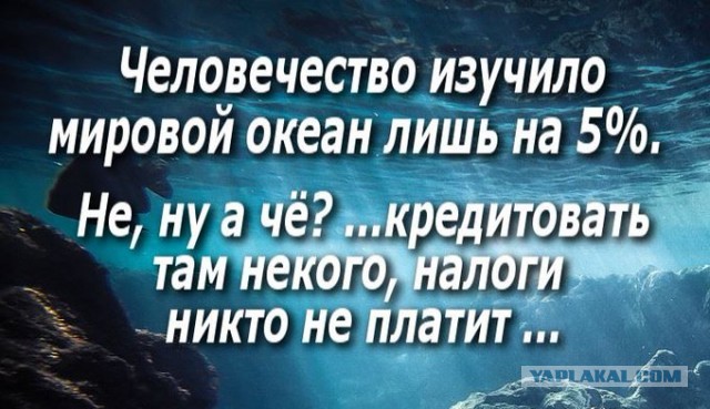 Бредзона 08.02.2021