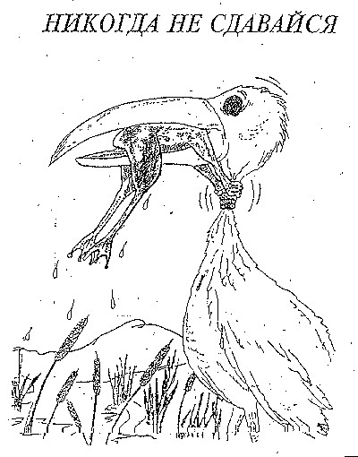 17 секунд до победы