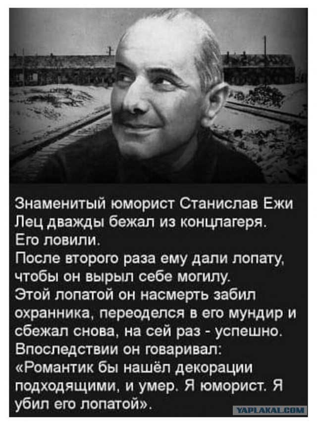 Свинегрет: картинки, надписи и прочее на 06,07.202 или №31