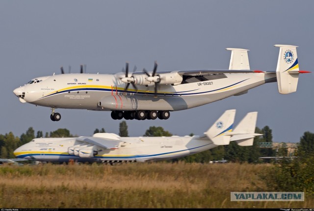 Ан-22 «Анте́й»  или большой дед еще в деле (взлет, посадка, рулежка)