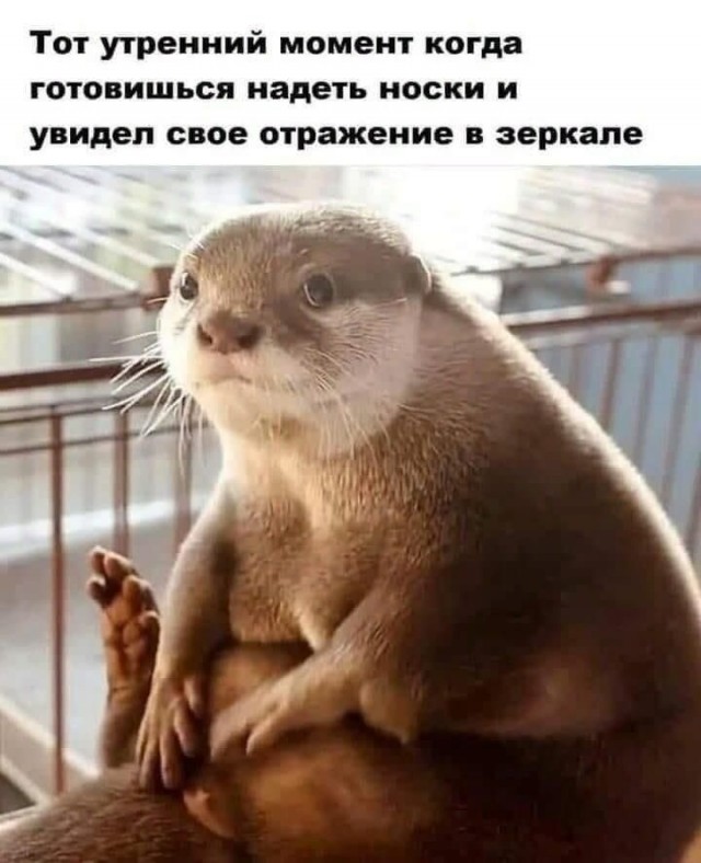 Так себе картинки 15.09.21