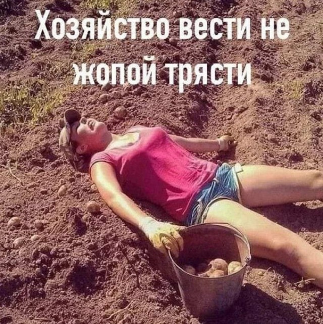 Калейдоскоп картинок 28.09.2021