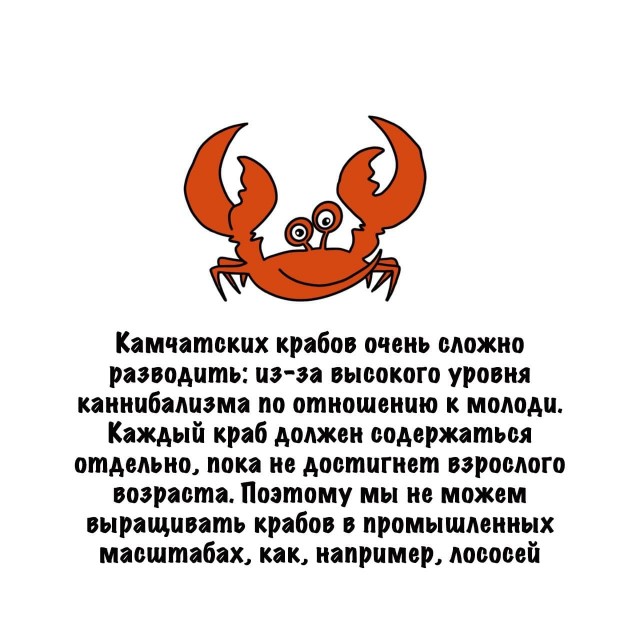 Картинки на субботу