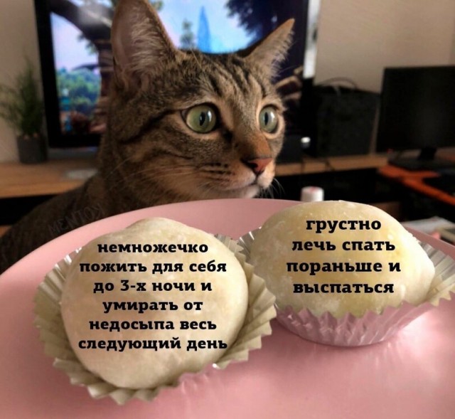 Так себе картинки 18.12.21