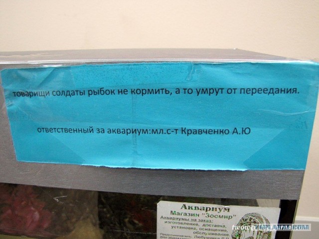 Служба российских солдат в Южной Осетии