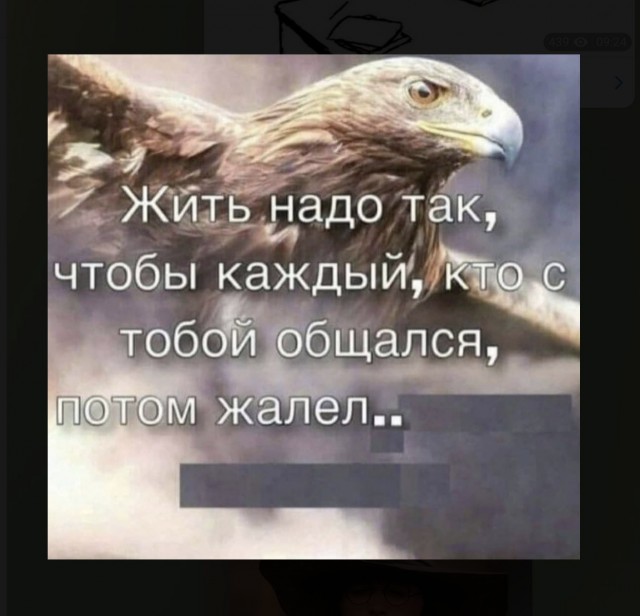 Так себе картинки 30.01.22