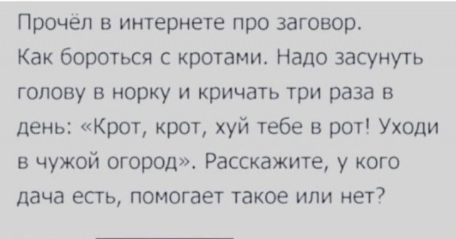 Замучил хомяк на огороде