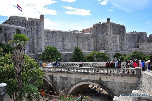 Любовь с первого взгляда