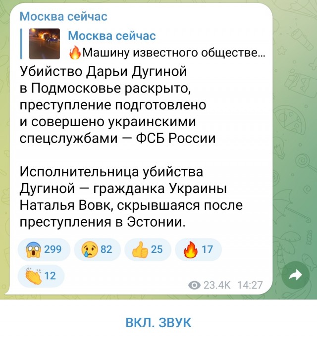 Убийство Дугиной...
