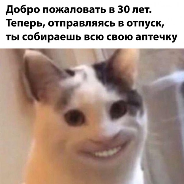 Весёлый полтишок 13.09.22
