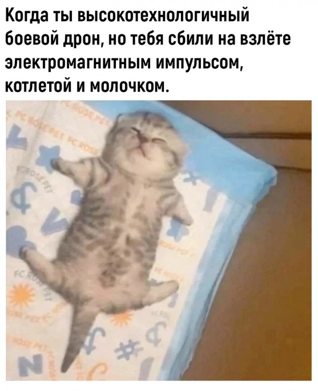 Чуток картинок 11.10.22