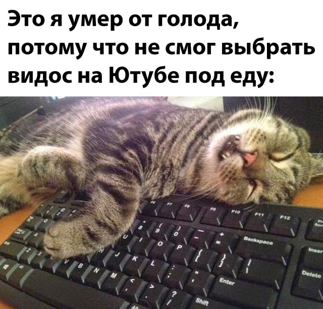 Деградация лайт 14.10.2022