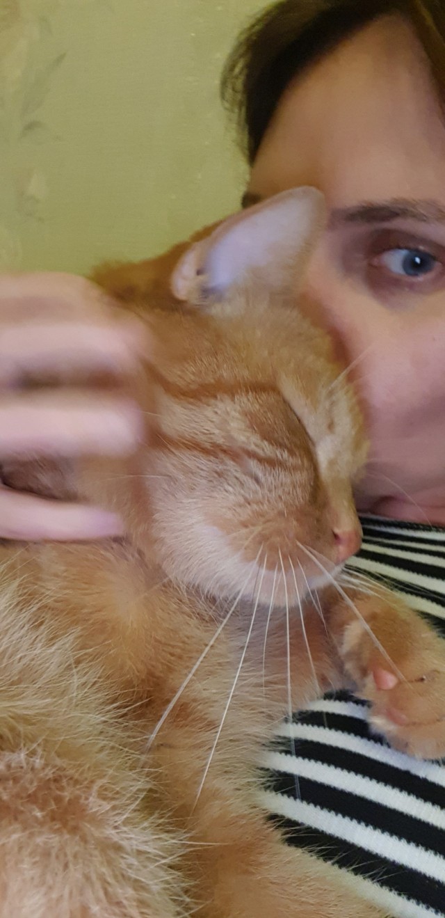 Ты слышишь, кот? Я по тебе скучаю…