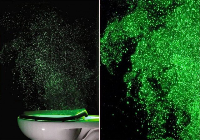 Исследование: капли воды из унитаза поднимаются на высоту до 2 метров