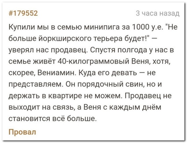 Забавные комментарии из социальных сетей (12.12.22)