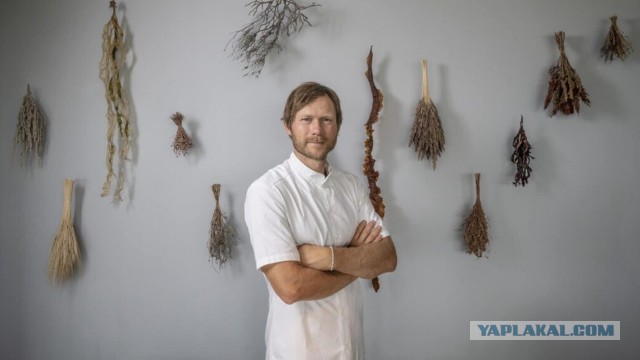 Лучший ресторан мира 2022 года Geranium и его шеф Rasmus Kofoed