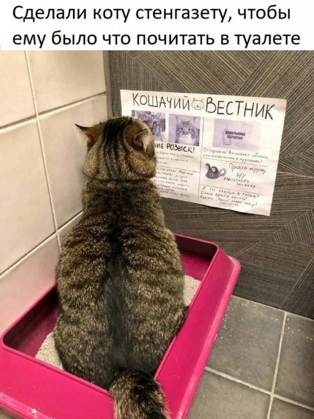 Прикольные и просто красивые картинки 27.06.2023