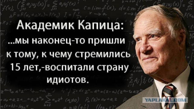 Руссо туристо облико морале
