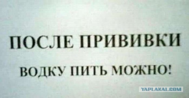 Якась скотина