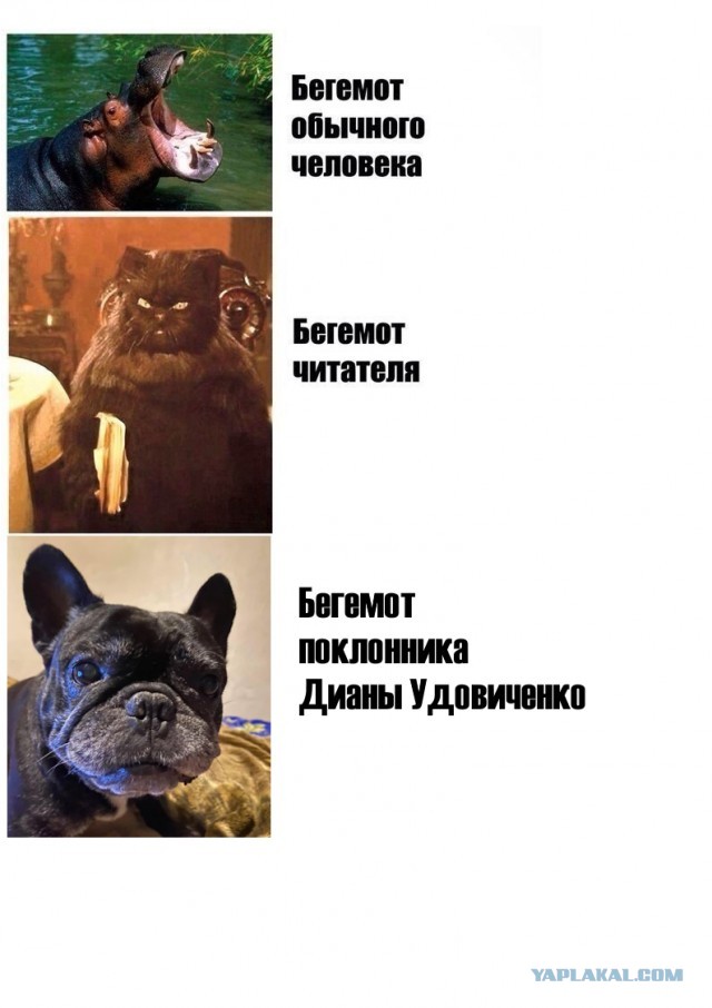 Нуштош 20.09.2023