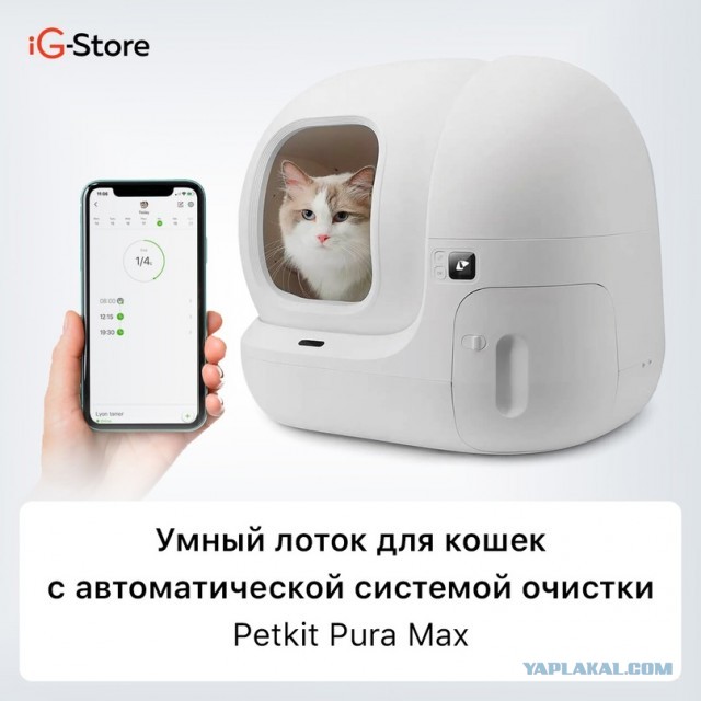 Купил коту новую игрушку