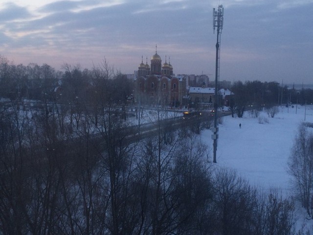 Занюхнул