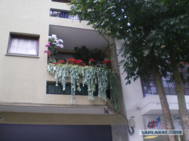 Хочу дачу на канарах!