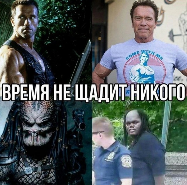 Всего понемногу. От 17.01.24