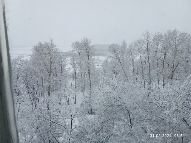 Солнечный день!