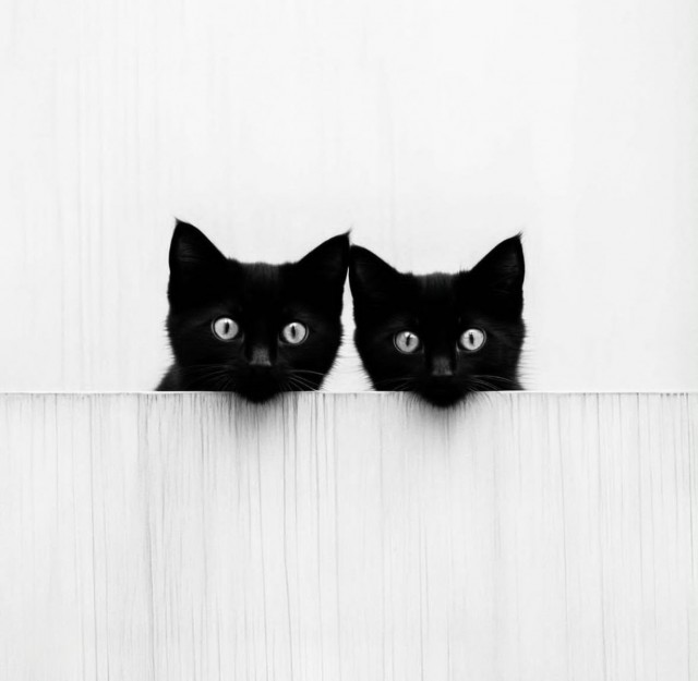Фотографии разные