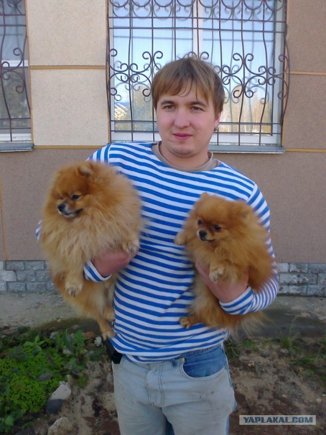 Человек и собака