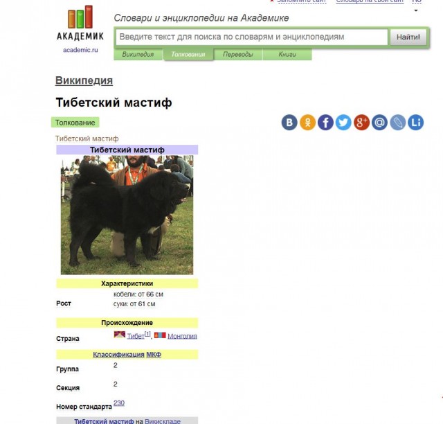 Сейчас брат прислал, он фермер в Тульской области. Снял возле деревни.