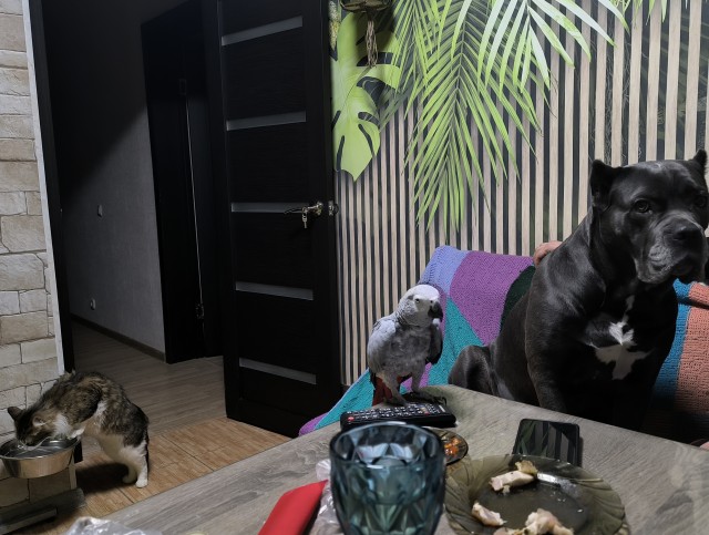 За секунду до...