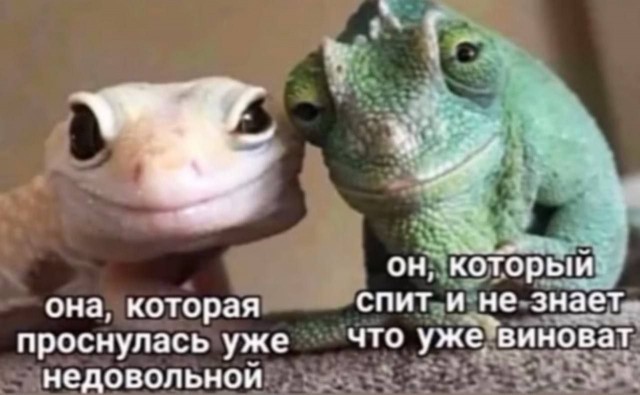 Картинки от 23.02.2025