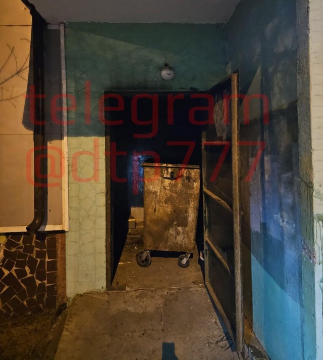 Что же у них в голове?