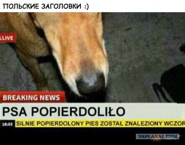Кого то он мне напоминает...