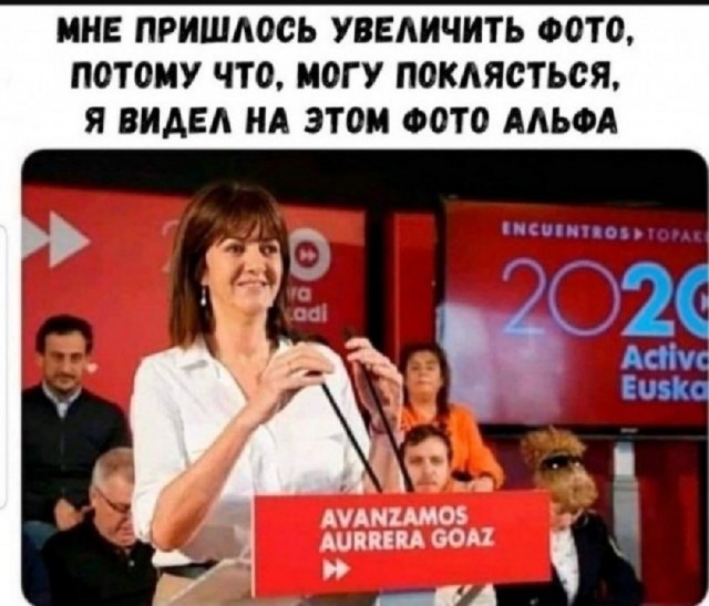 Так себе картинки 16.05.25