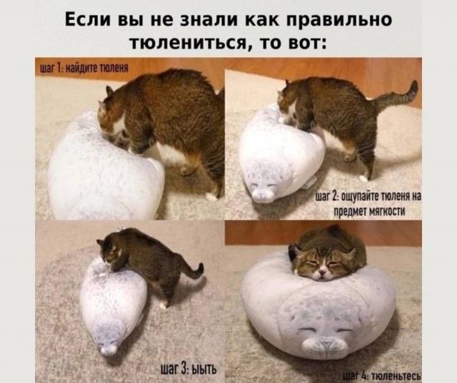 Так себе картинки 14.06.25