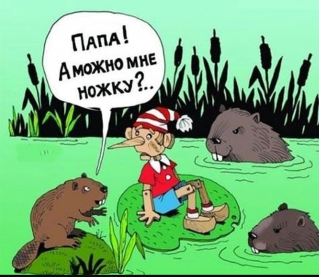 Так себе картинки 15.06.25