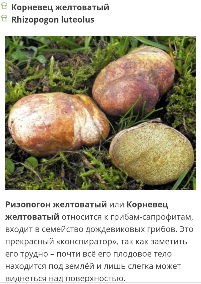 Вопрос к знатокам...