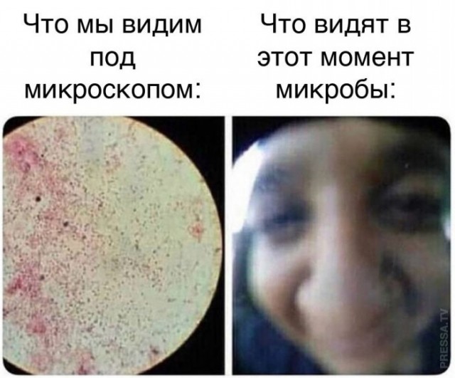 Веселые картинки в понедельник (12.01)